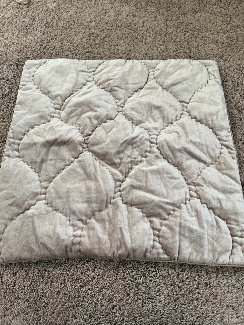 New anthropologie Claire cotton velvet satin euro sham champagne beige 26 x 26